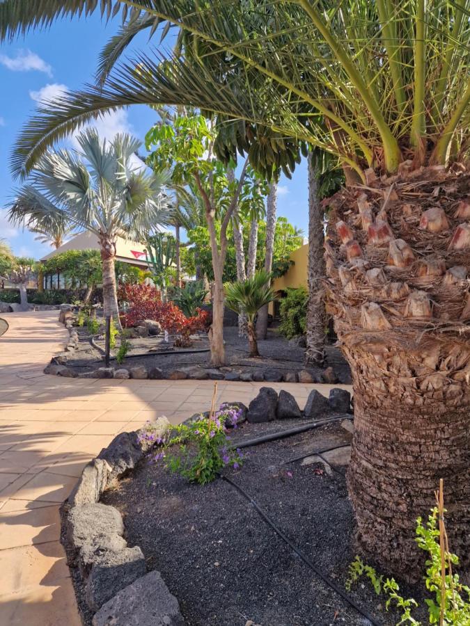 شقة Casa Mari Y Jose Con Grandes Piscinas Y Wifi Gratis كوراليهو المظهر الخارجي الصورة